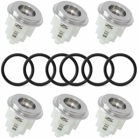 6Pcs KIT 169 Check Valve Replacement for General Pump TSF66 TSF1819 TSF2221 TSF2021 TSF2421 TSF2219 Series for Interpump (GP), Replace K169$$Tools