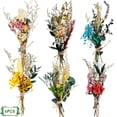 thumbnail image 1 of 6Pcs Mini Dried Flowers Bouquet, MODANU Mixed Natural Dried Flowers Gypsophila Bouquets Boutonniere Table Centerpieces Birthday Cake Flowers for DIY Crafts, Wedding, Home Decor, Style 2, 1 of 6