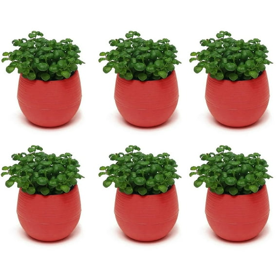 6Pcs Mini Succulent Pot, 3 Inch Plastic Seed Starter Pots Small Cute Succulent Planter with Drainage for Indoor & Outdoor Plants, Home Decor