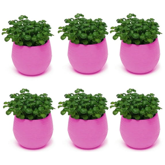 6Pcs Mini Succulent Pot, 3 Inch Plastic Seed Starter Pots Small Cute Succulent Planter with Drainage for Indoor & Outdoor Plants, Home Decor