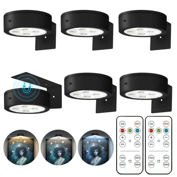 PANGTON VILLA LED Painting Light with Remote, Dimmable Timer, 3 Lighting Modes, Decorative Art Display Light