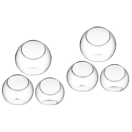 6Pcs Plant Terrarium Plant Holder Terrarium Air Plant for Succulents Home Decor