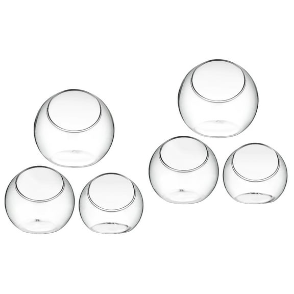 6Pcs Plant Terrarium Plant Holder Terrarium Air Plant for Succulents Home Decor