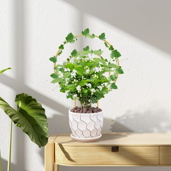 6Pcs Premium Hoya Trellis - Unique Metal Plant Support for Climbing Plants - Set of 3 Different Sizes - Ideal for Indoor and Potted Plants