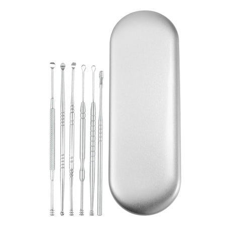 6Pcs Stainless Steel Ear Cleansing Tool Set Ear Cleaner Ear Care Set with Storage Case Silver Tone
