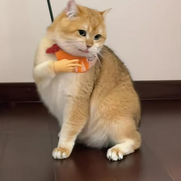 6Pcs Tiny Hands, Little Hands, Mini Hands for Cats, Mini Human Hands for Cats, Tiny Folded Hands for Cat Paws, Cat Interactive Toy, Stretchable TPR Finger Puppet