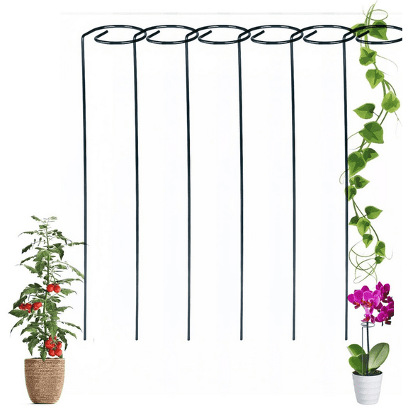 6Pcs Tomato Stakes - 2026 New Tomato Plant Support - Reusable Tomato Spiral Stakes for Climbing Plants - Tomatoes, Roses & Garden Vines