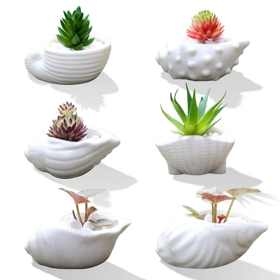 6Pcs White Seashell Ceramic Planter, Mini Flowerpot Succulent Pots Cactus Pot Set for Home Office Desk Decor, Not Include Plants