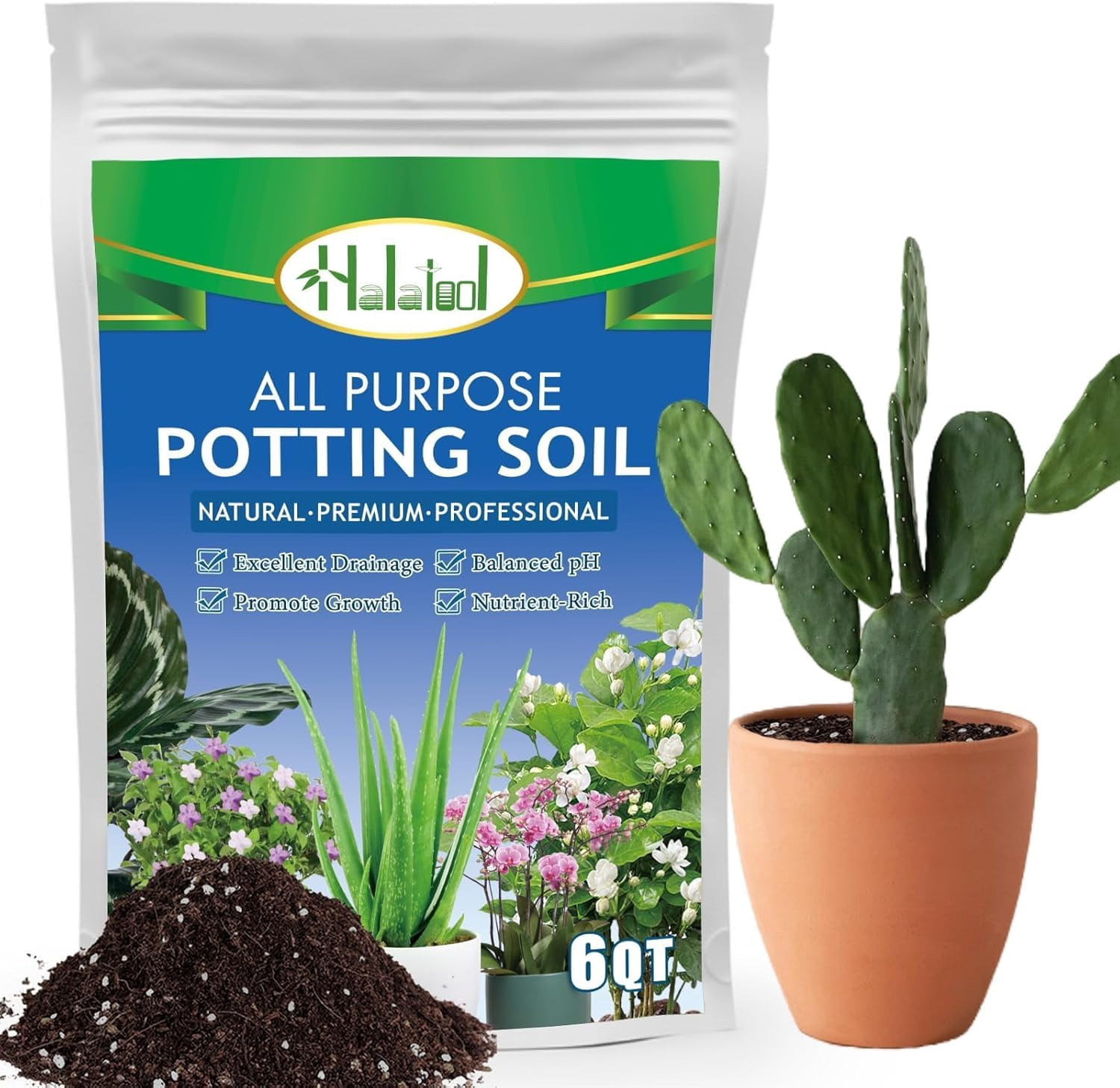 6QT Indoor Potting Soil for Plants Orchid Potting Mix Garden Top Succulent Bonsai Soil for Aloe Vera Houseplants Flowers Vegetables & Herbs