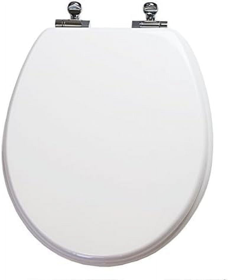 6TSUR9999SL 000 Round Toilet Seat With Metal Hinges, White