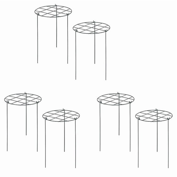 6X Peony Stand, Peony Support Cage, Plant Stand Growing Plant Stand Suitable for Roses, , Orchids