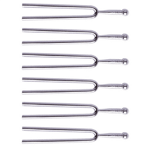 6X Tuning Fork with Soft Shell Case, Standard A 440 Hz