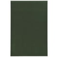 thumbnail image 1 of 6X8 Rain Forest Green Grizzly Grass Indoor/Outdoor Area Rug, 1 of 6