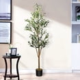 thumbnail image 1 of 6ft Artificial Olive Tree, 6 Feet Tall Faux Olive Tree, Potted Fake Plants with Realistic Branches and Lush Leaves for Home Indoor Decor, 1 of 8