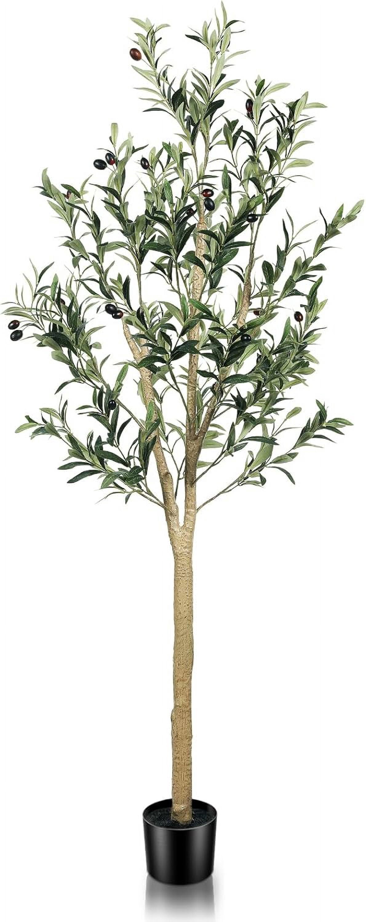 6ft Artificial Olive Tree Tall Fake Potted Olive Silk Tree with Planter — free download