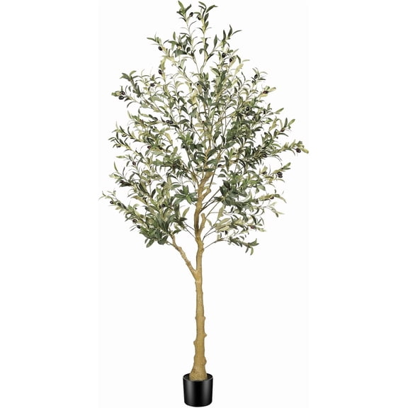 6ft Artificial Olive Tree with Natural Trunk Indoor Decor