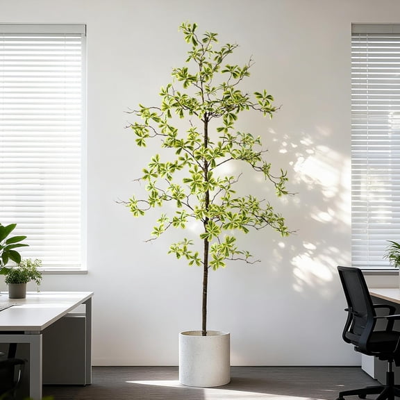 6ft Artificial Olive Tree with Realistic Silk Leaves and Natural Trunk Indoor Outdoor Use White Olive Tree