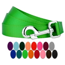 Country Brook Petz® 6ft By 3/4 Inch Hot Lime Green Heavyduty Doublehandle Nylon Leash