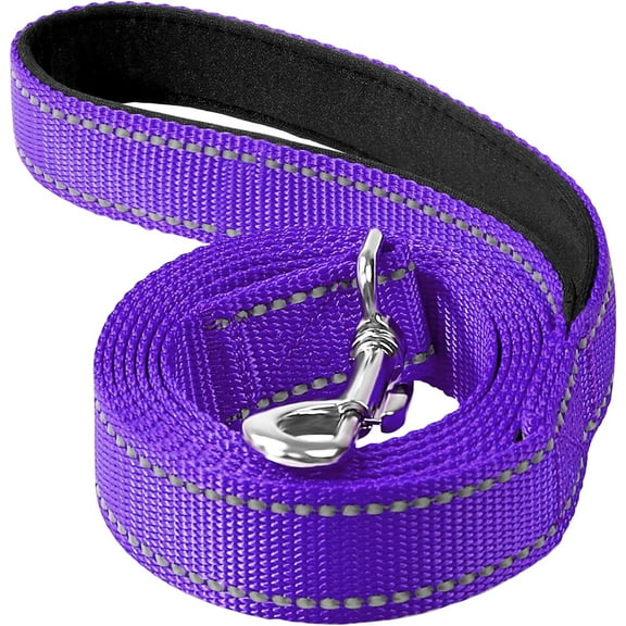 6ft Dog Leash for Small Medium Large Dogs | One-Sided Reflective Nylon | Padded Handle | 3/4 inch Wide | Purple