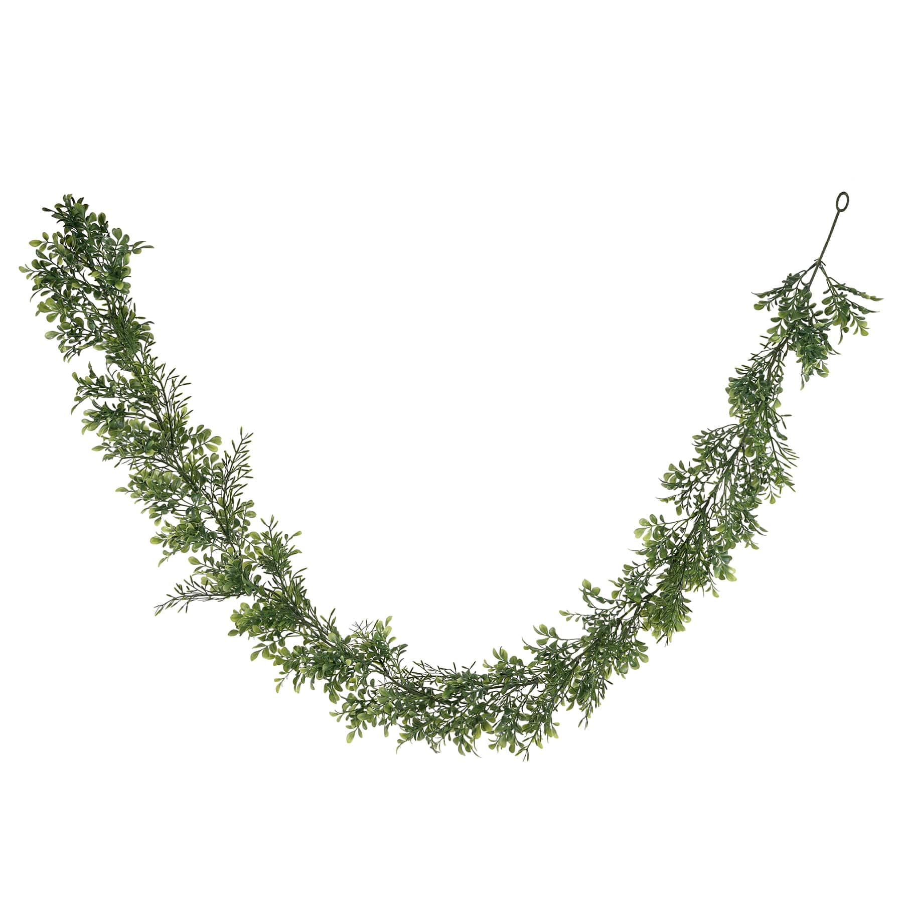 6ft. Green Boxwood Garland by Ashland®