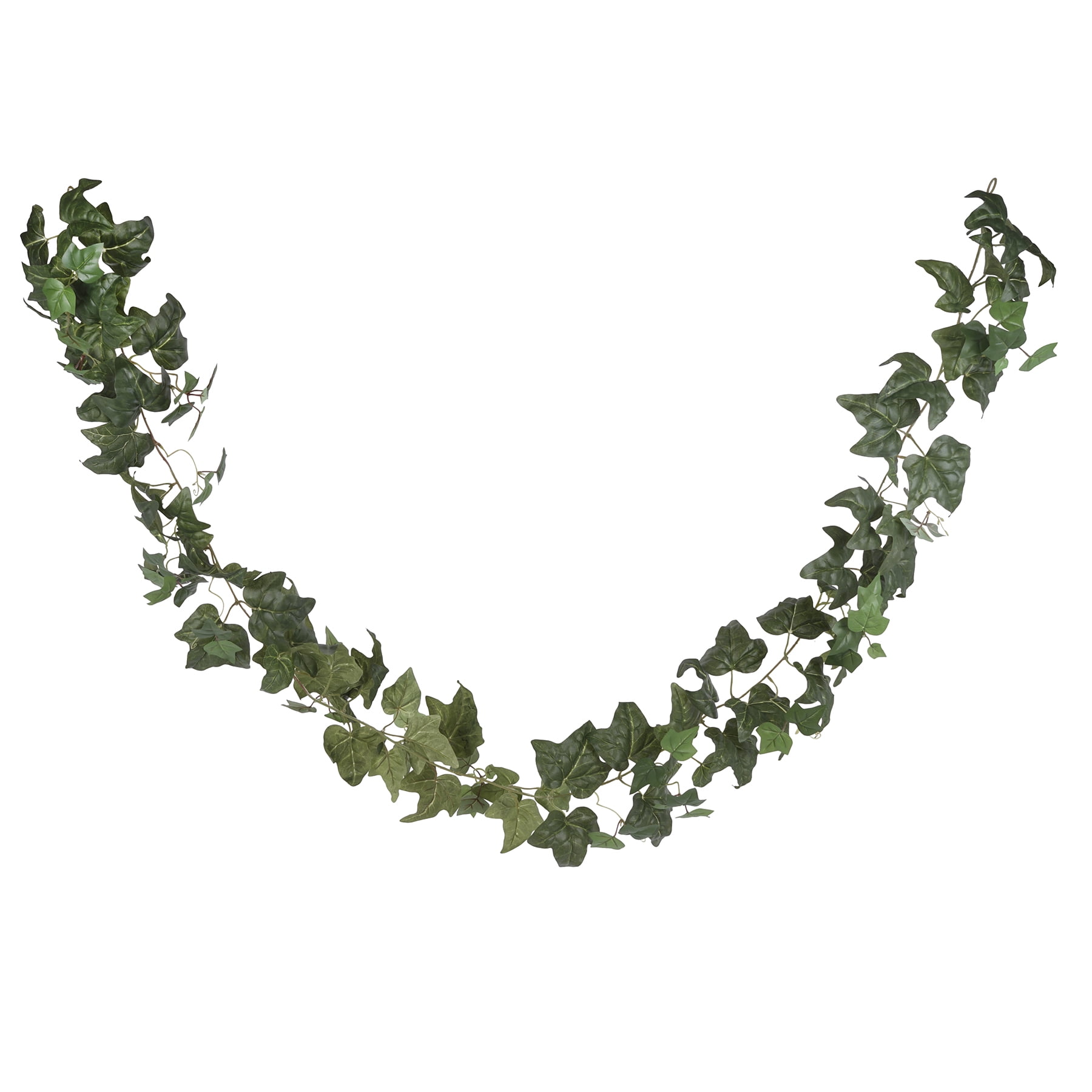 6ft. Green English Ivy Garland by Ashland