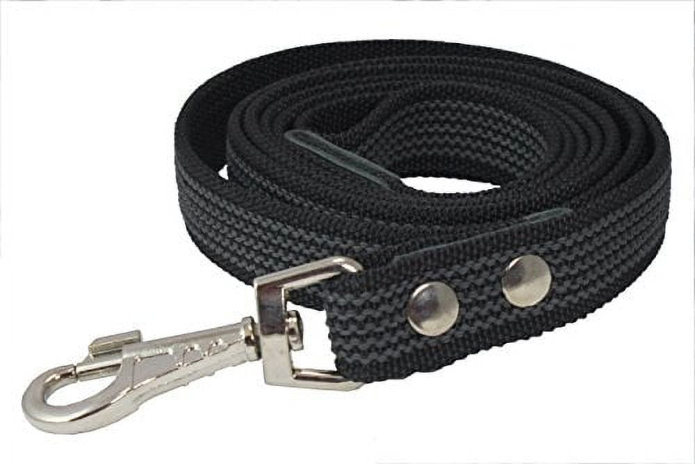 6ft Latex Enforced Dog Leash (Large (1" Wide))