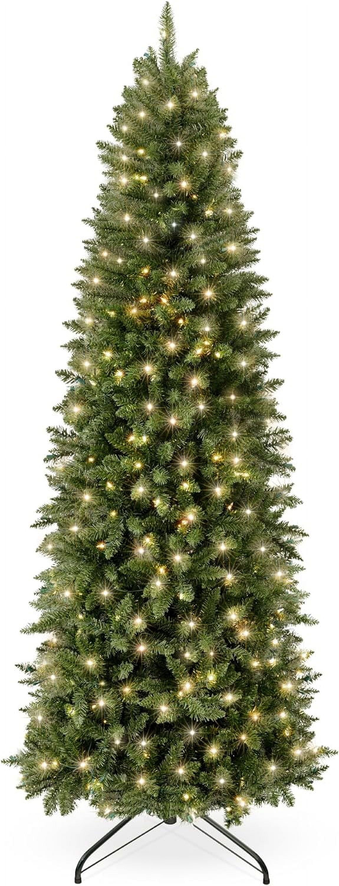 6' Pre-Lit Green Spruce Pencil Christmas Tree with Incandescent Lights