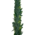 thumbnail image 1 of 6ft Real Touch Christmas Garland, Artificial Norfolk Pine Cypress Greenery for Mantle, Stairs, Table, Indoor Outdoor Holiday Decor, Xmas Home Decoration, 1 of 8