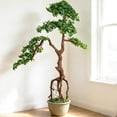 thumbnail image 1 of TOARTi Ficus Artificial Tree Lifelike Leaves with Sturdy Plastic Pot Faux Plant for Office Home Living Room Indoor Outdoor Decor 6 ft, 1 of 10