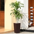 thumbnail image 1 of 6ft UV Resistant Artificial Dracaena Tree with Brown Tall Planter, Pre Potted Fake Plants for Indoor Outdoor Home Decor, Big Faux Tree Fake Plants for Office House Decor, 1 of 10
