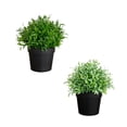 thumbnail image 1 of 6in. Artificial Grass Plant in Black Pot - Set of 2, 1 of 9