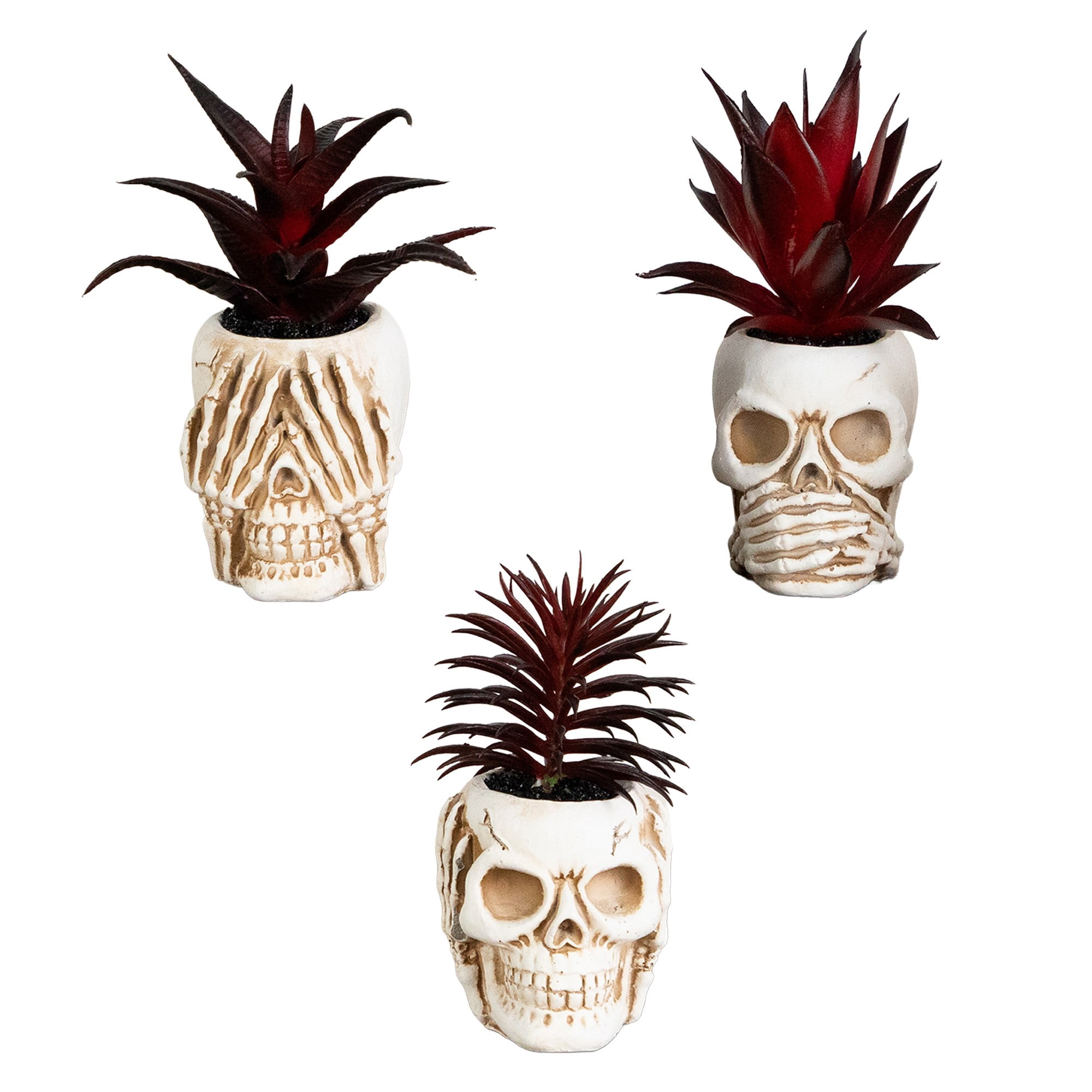 6in. Artificial Halloween Speak, Hear, See No Evil Succulent Plant Skull Decor - Set of 3