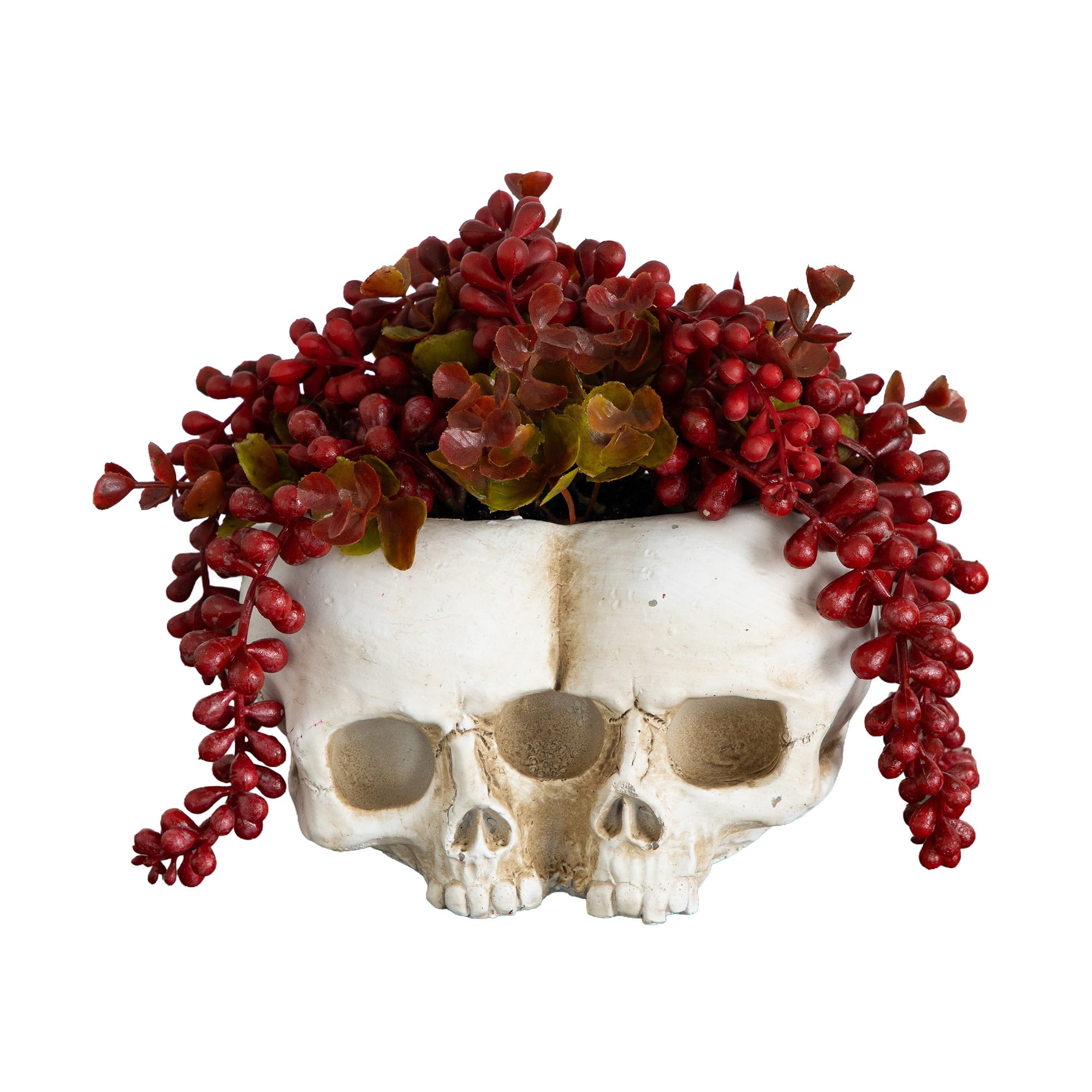 6in. Artificial Halloween String of Pearls in Double Skull Planter