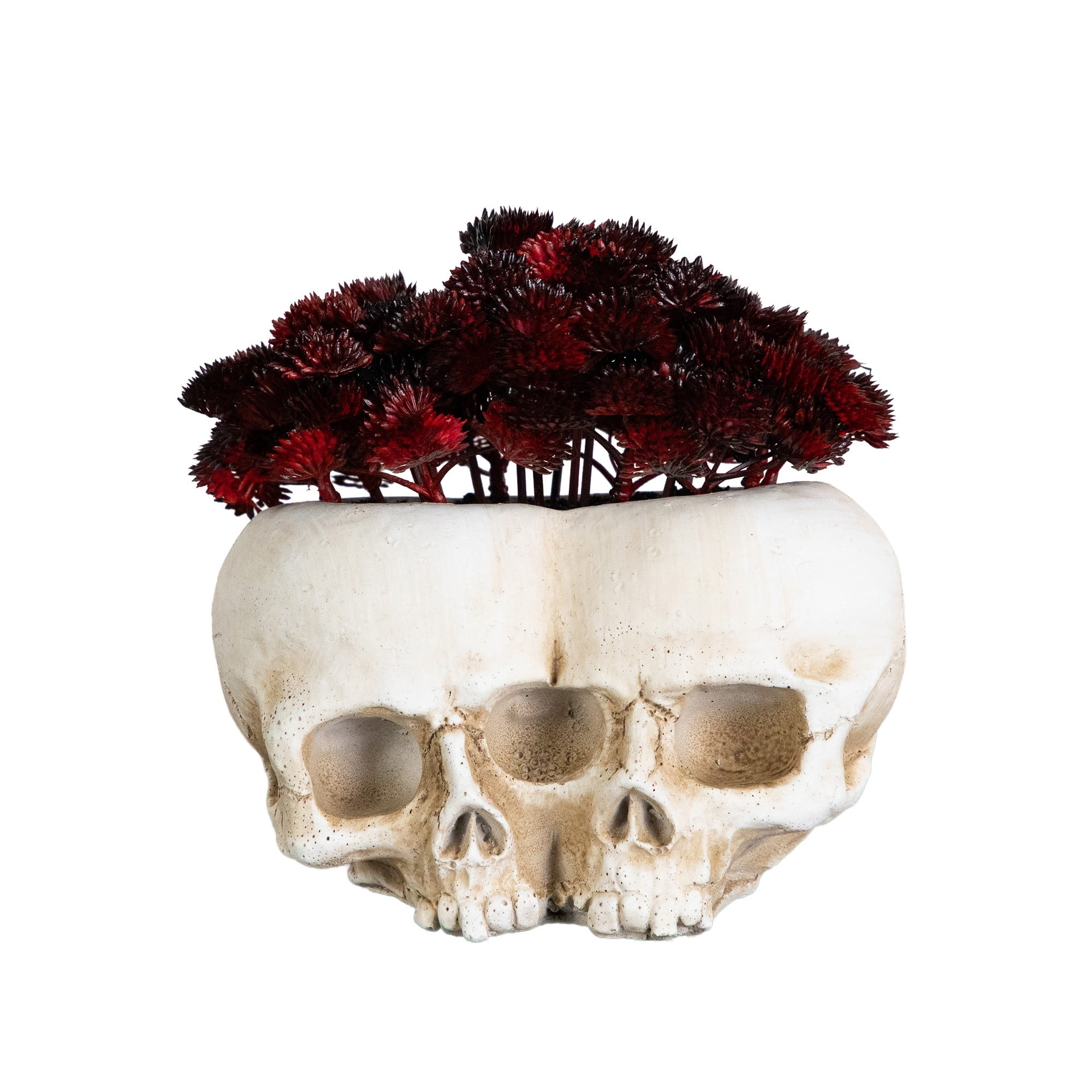 6in. Artificial Halloween Succulent Plant in Double Skull Planter