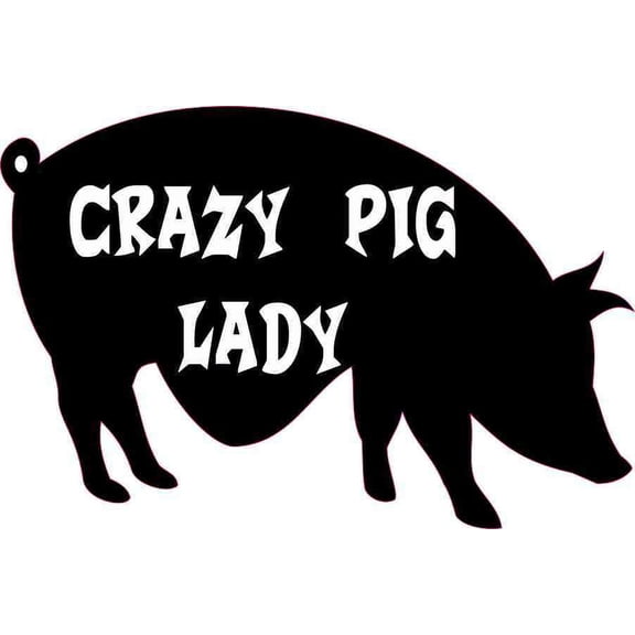 6in x 4in Black and White Crazy Pig Lady Sticker Funny Animal Stickers