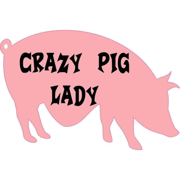 6in x 4in Crazy Pig Lady Sticker Vinyl Animal Decal Funny Bumper Stickers