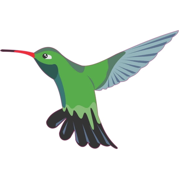 6in x 4in Hummingbird Bumper Sticker Vinyl Cup Decal Car Stickers