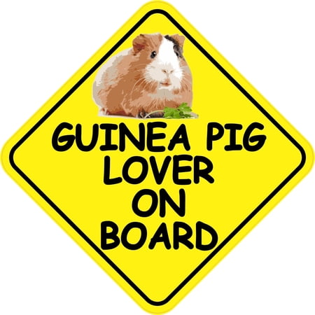 6in x 6in Guinea Pig Lover On Board Sticker