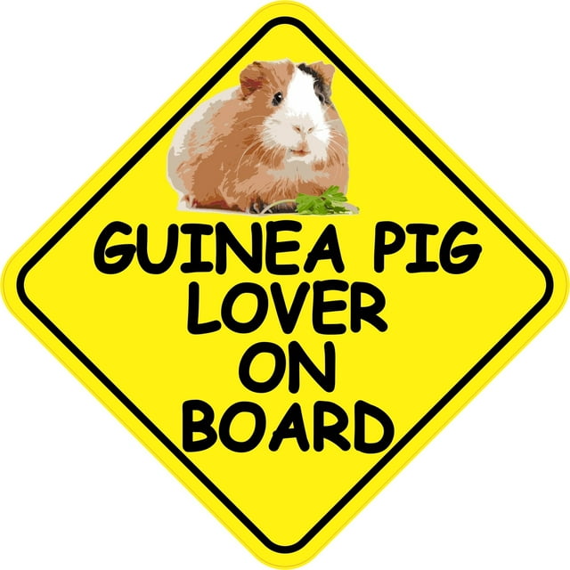6in x 6in Guinea Pig Lover On Board Sticker