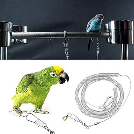 6m Bird Flying Rope Parrot Bird Anti-bite Outdoor Flying Training Traveling Walking Rope Pet Bird Leash Kits Random Color (Foot Ring Dia. 6.5mm)