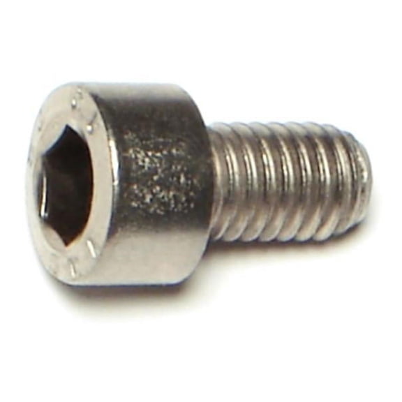 6mm-1.0 x 10mm Stainless A2-70 Hex Socket Cap Screws (10 pcs.)