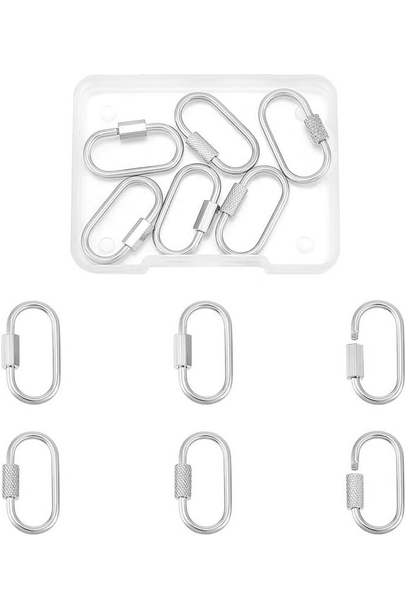 6pcs 2 Styles Oval Screw Carabiner Lock Stainless Steel Screw Lock Clip Clasps Lock Key Carabiner Clasp Metal Keychain Clip Hook Quick Link for Jewelry Making Handbag Accessory 26x13mm