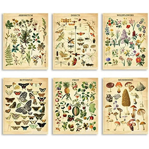 6pcs Animal and Plant Atlas Wall Art Prints Butterfly Fruit Mushroom Wall Art Canvas Poster Unframed Canvas Prints Wall Art