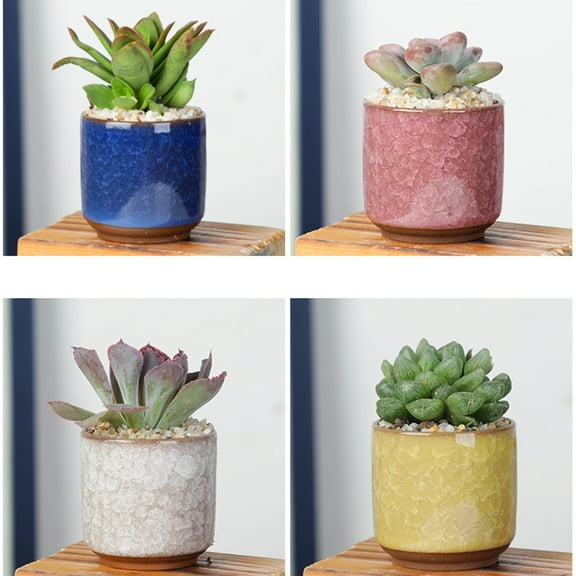 6pcs Ceramic Planter Coloured Porcelain Flower Pot Holder Containers Vase For Home Office Desk Windowsill Garden Decor ( without )