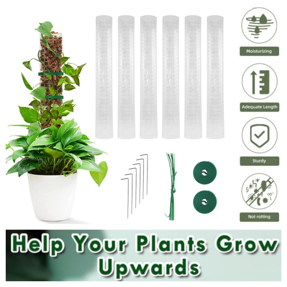 6pcs Clear Plastic Moss Poles 24 inch Moss Plant Climbing Support Plant