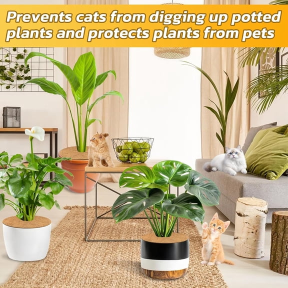 6pcs Coconut Fiber Mulch Ring Tree Plant Protector Mat, 24 Inch Natural  Coir Tree Mulch Ring Plant Pot Soil Cover, Tree Rings Disc Plant Cover for Indoor Outdoor Plants,Landscaping