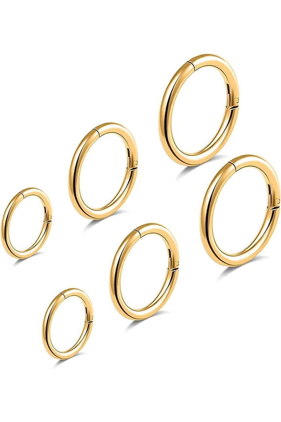 6pcs G23 Titanium Septum Rings 16G Diameter 6mm/8mm/10mm Hinged Nose Ring Hoops for Women Men Cartilage Hoop Earrings Body Piercing Rings Black/Silver/Gold Plated/Rose Gold Plated Lip Rings