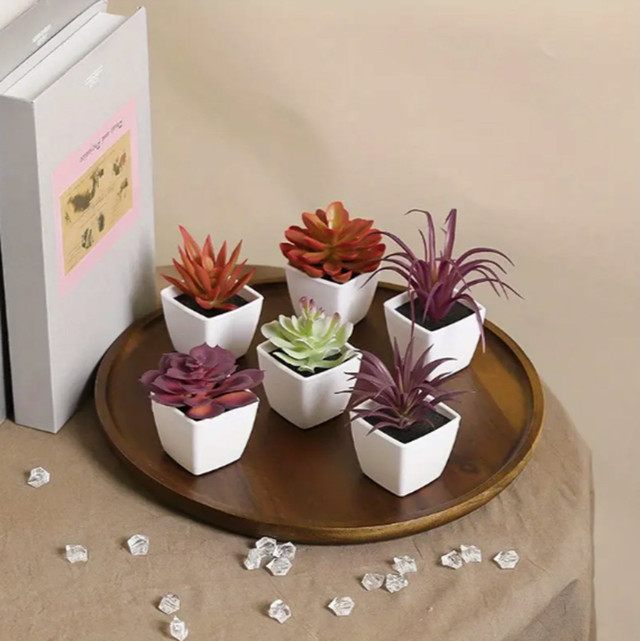 6pcs Lifelike Artificial Succulents, 4 Varieties, Mini Faux Plants for Desktop, Shelf C