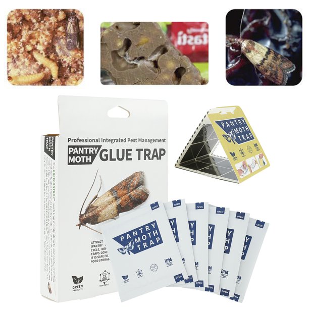 6pcs Pantry Moth Traps EcoFriendly NonToxic Sticky Glue Moth Trap with Pheromones Prime Moth