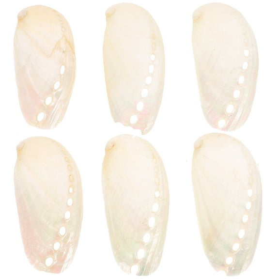 6pcs Pearl Abalone Shell Decor Beach Style Craft Wedding Seashell Craft Nautical Abalone Shell